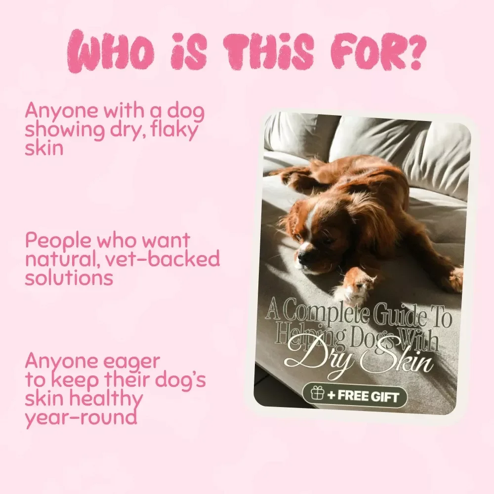 Soothing the Scratch: A Complete Guide to Helping Dogs with Dry Skin | Digital Pet Care Guide for Dog Owners | What to Do When Your Dog Has Dry Skin | Dog Health & Wellness eBook