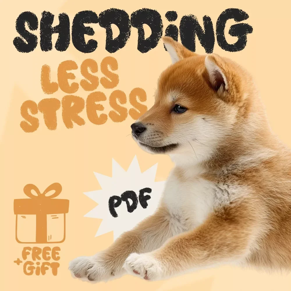 Shedding Less Stress: Smart Strategies for a Cleaner Home During Shedding Season | Dog Owner’s Digital Guide with tips for reducing shedding season mess