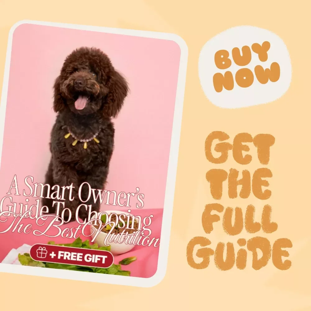Decoding Dog Food Labels: A Smart Owner’s Guide to Choosing the Best Nutrition | How to Read Dog Food Labels Correctly | Digital Download Pet Nutrition Guide for Dog Owners