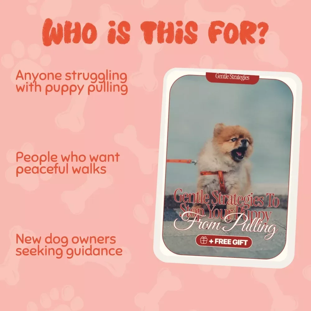 Gentle Strategies to Stop Your Puppy from Pulling - Effective Tips for Stopping a Puppy from Pulling | Digital Download Guide