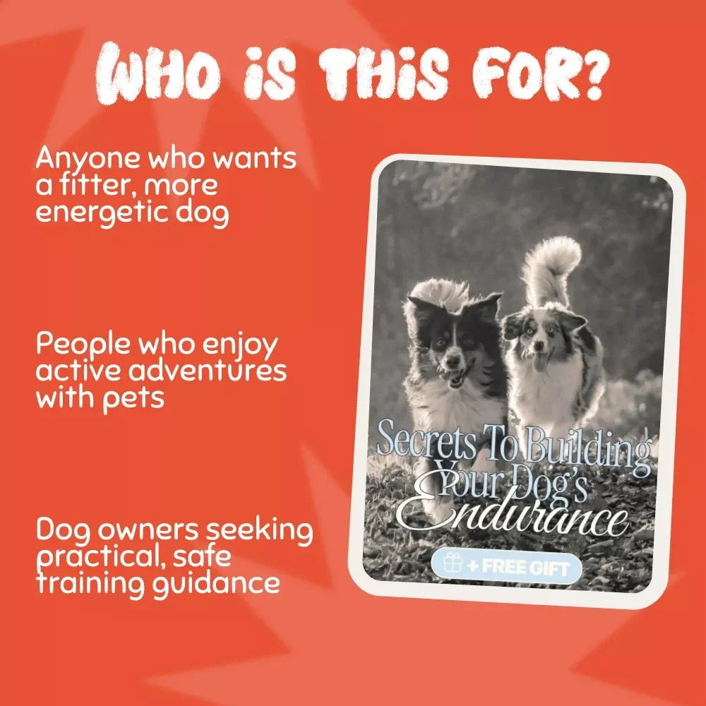 Secrets to Building Your Dog’s Endurance | Digital Guide for Pet Owners | Proven Tips for Increasing a Dog’s Endurance and Energy Naturally