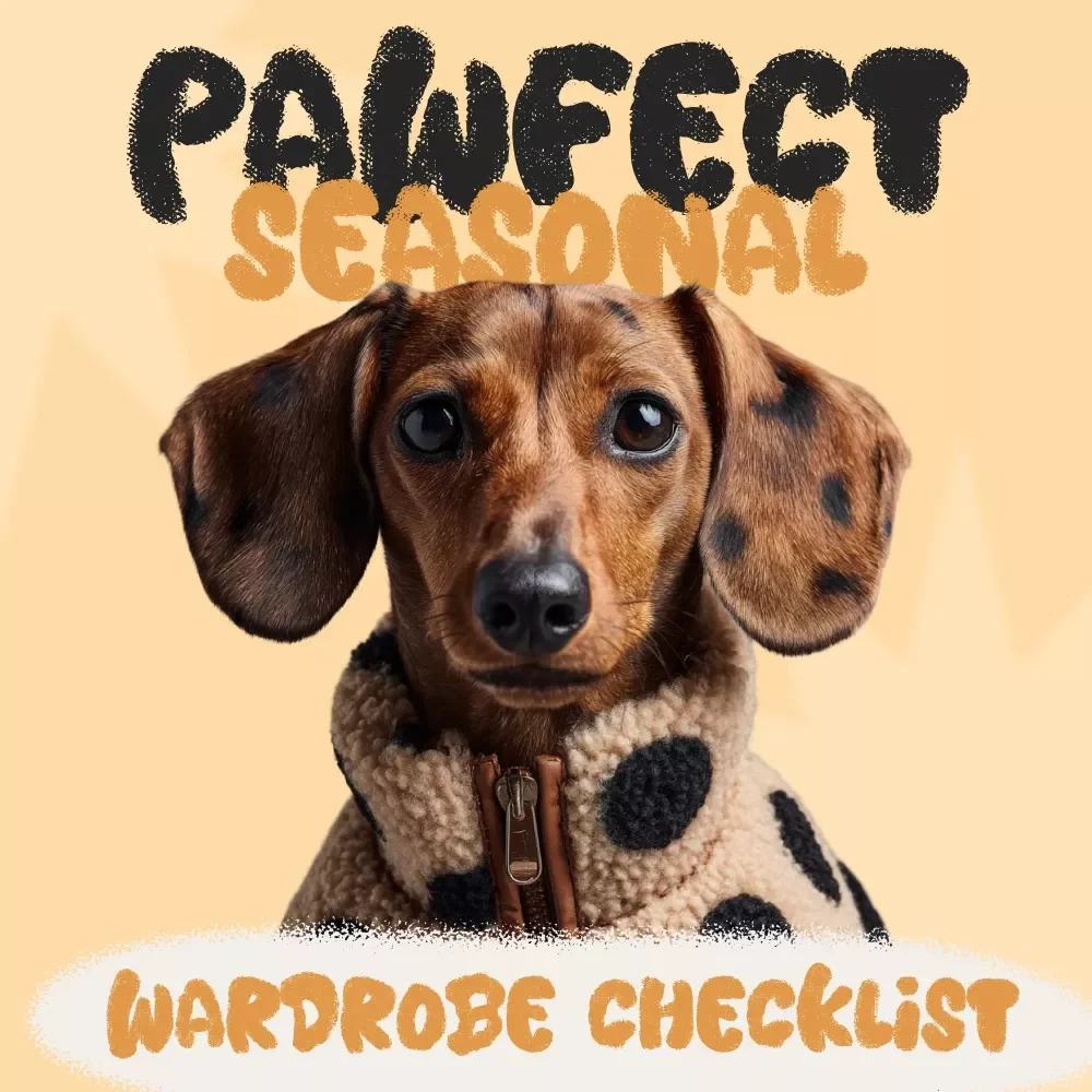 Pawfect Seasonal Wardrobe Checklist | Digital Pet Clothing Organizer & Storage Guide | Printable Tips for Storing Seasonal Pet Clothes