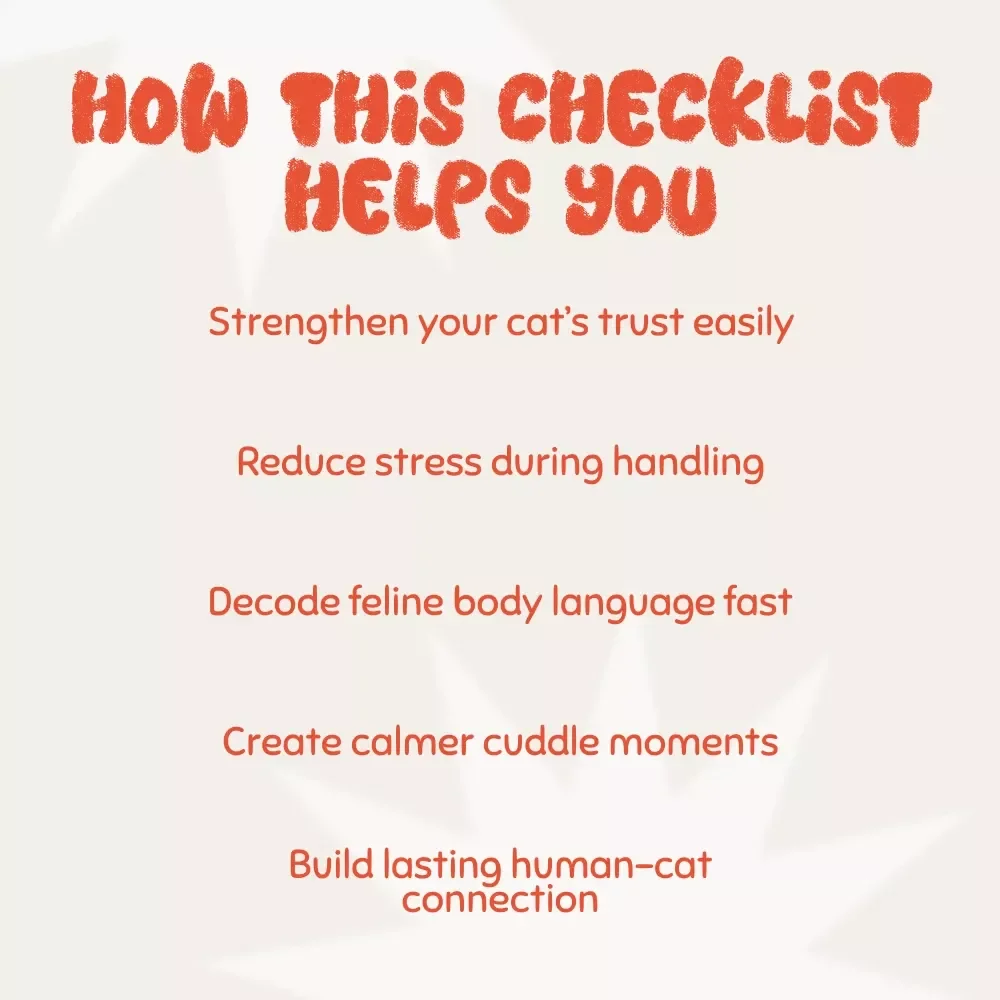 Hold Me? Maybe Later! | Cat Behavior Guide, Understanding Feline Affection, Digital eBook for Cat Owners, Gentle Handling & Bonding Tips