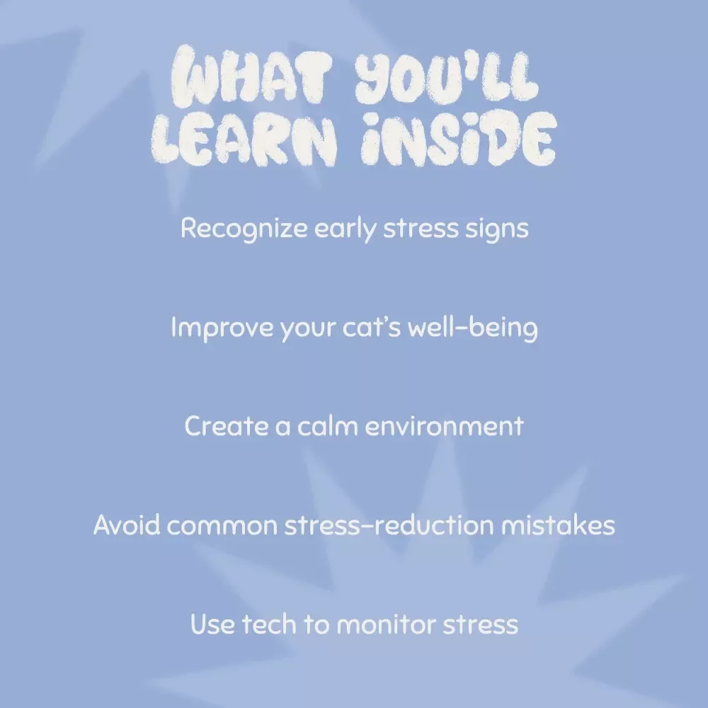 How to Tell if Your Cat is Stressed: The Ultimate Guide to Understanding and Reducing Cat Stress