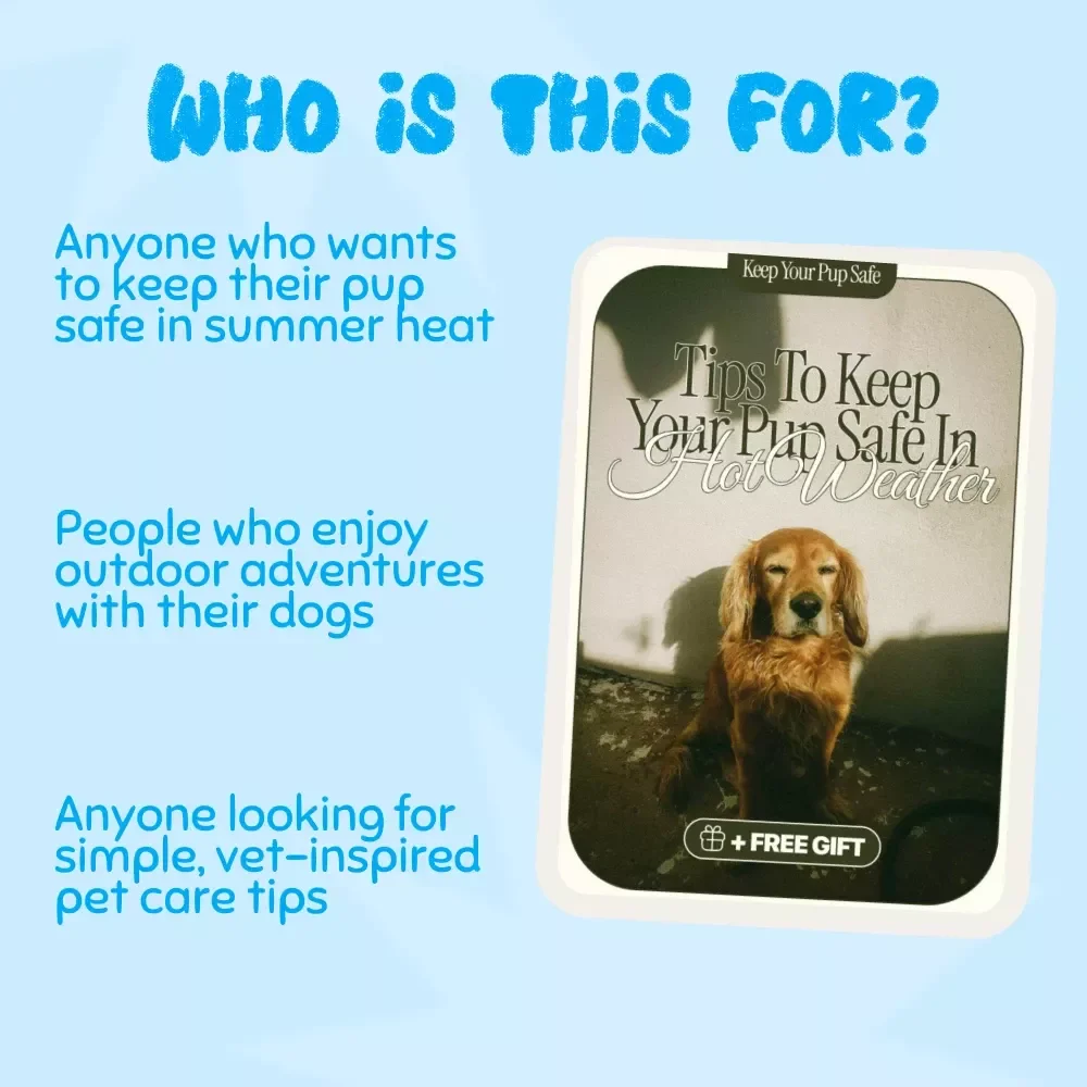 Tips to Keep Your Pup Safe in Hot Weather | Printable Pet Safety eBook | Summer Dog Care Guide | Heat Safety Tips for Dog Owners | Digital Download