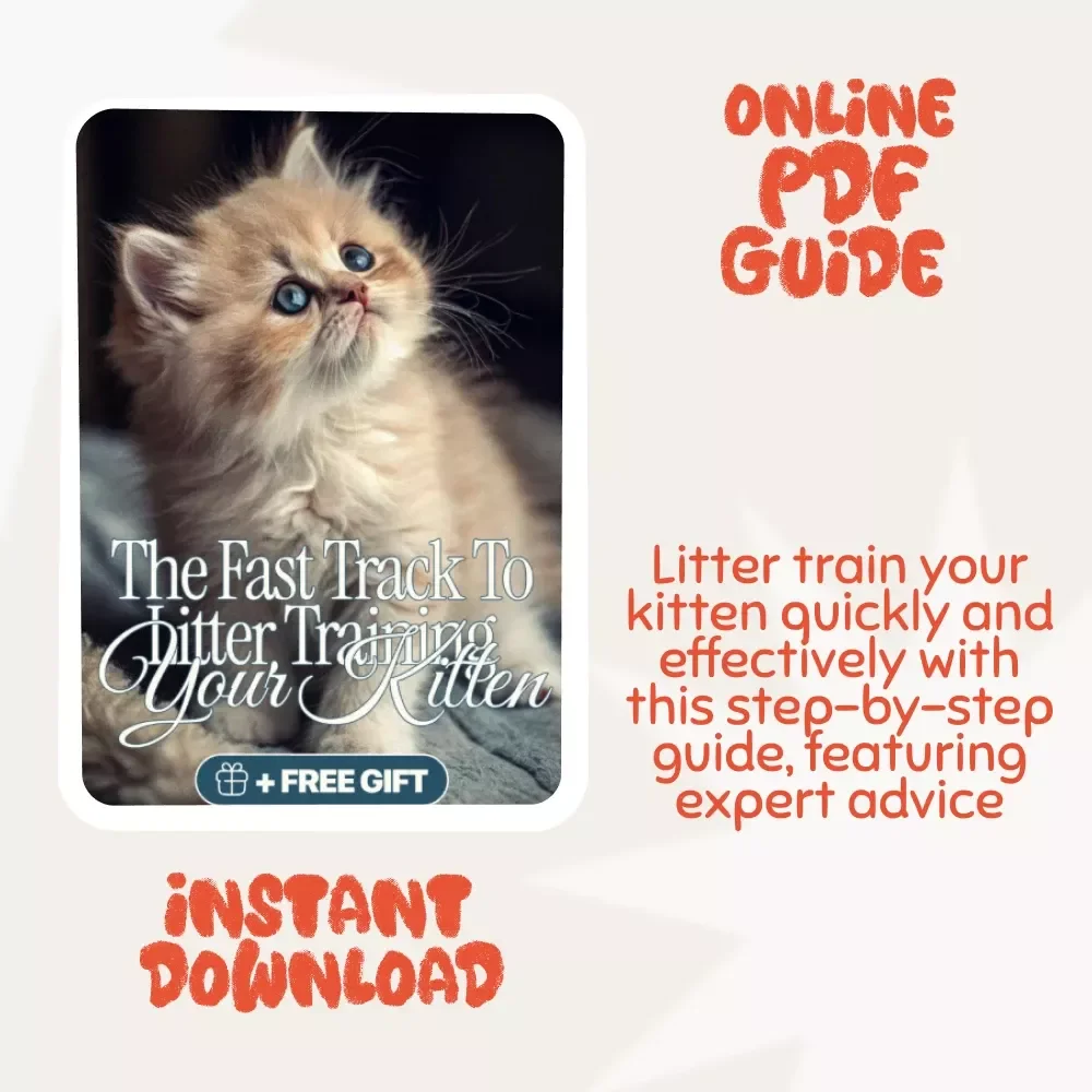 Purrfect Potty: The Fast Track to Litter Training Your Kitten - A Step-by-Step Guide to Successful Litter Training