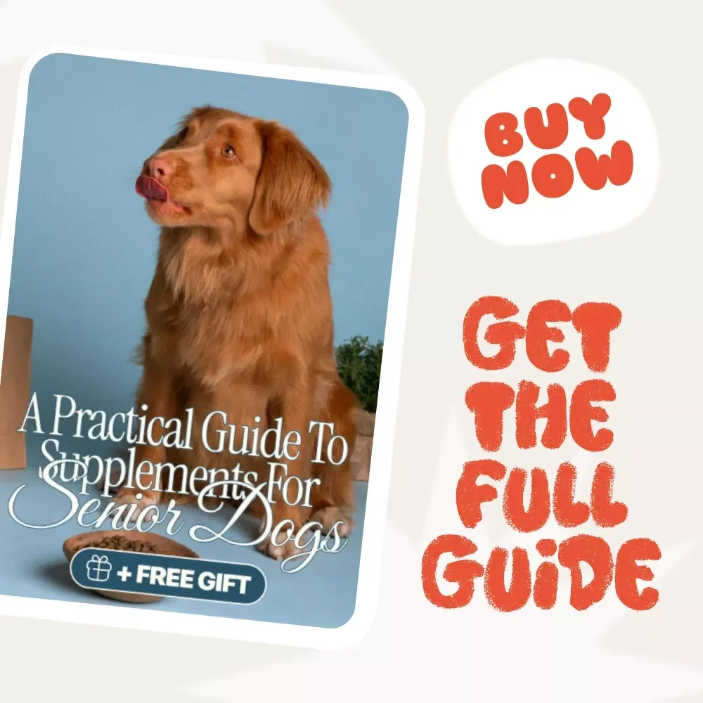 Golden Years, Healthy Paws: A Practical Guide to Supplements for Senior Dogs | Digital eBook for Pet Lovers | Dog Health & Wellness Guide | Senior Dog Care Checklist | Instant PDF Download