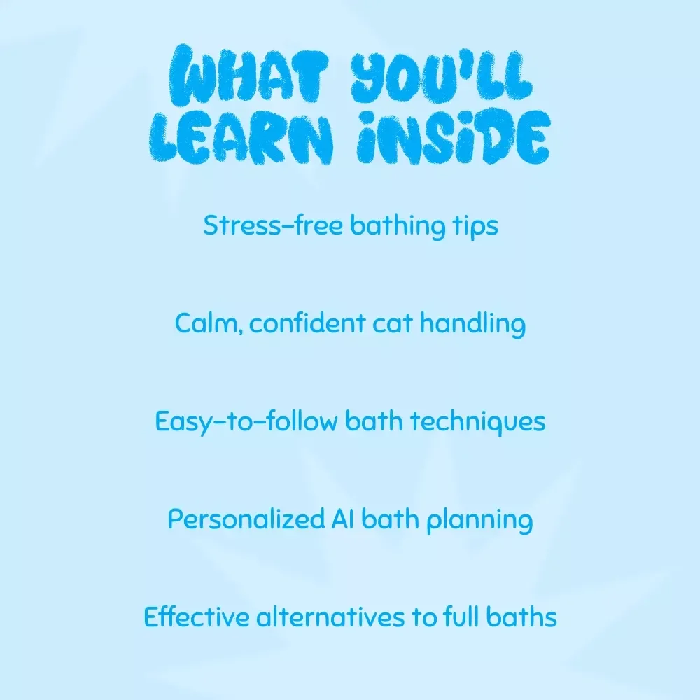 Splish, Splash, No Panic: Gentle Solutions for Cats Who Hate Baths - A Digital Guide for Stress-Free Cat Bathing