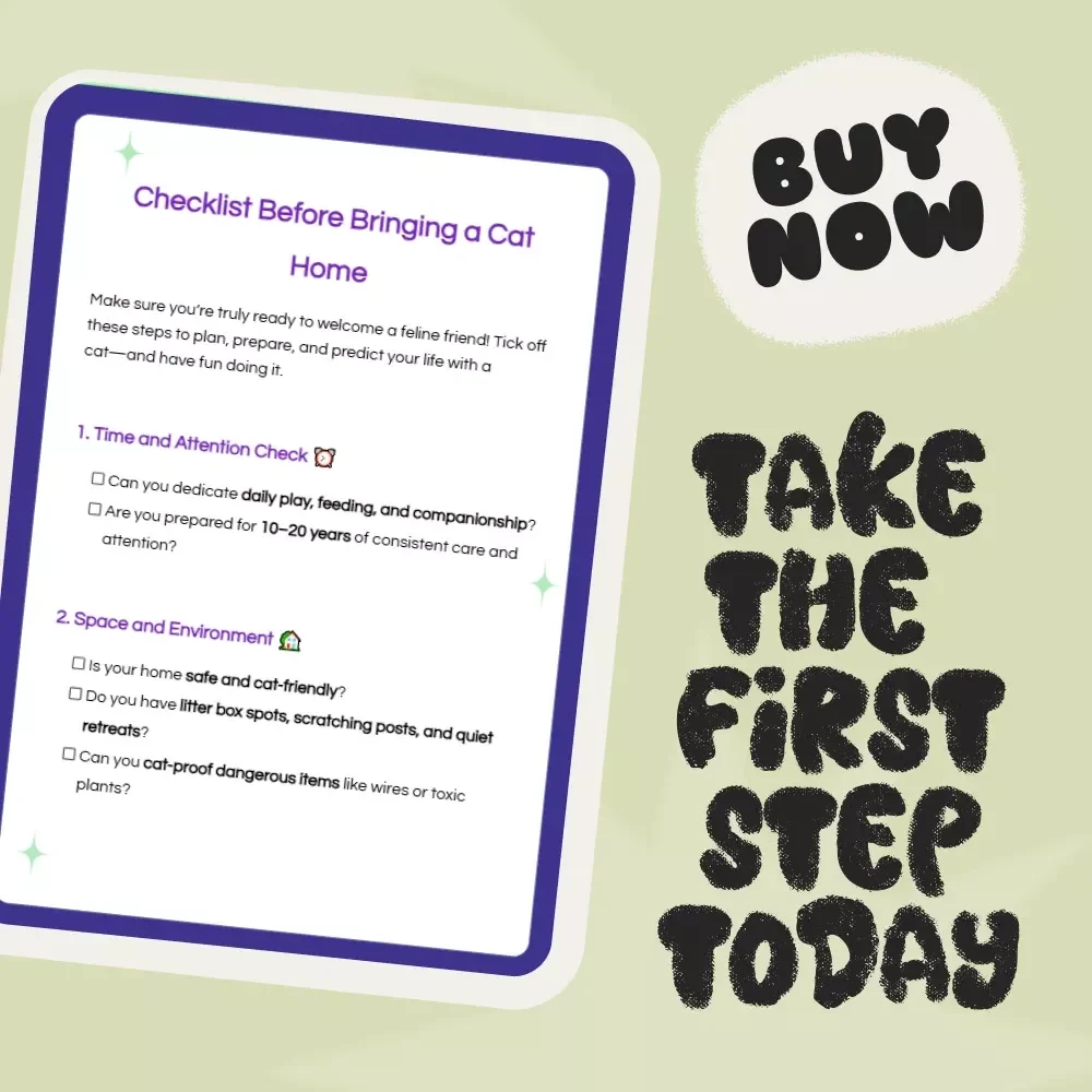 Checklist Before Bringing a Cat Home – What to Consider Before Getting a Cat
