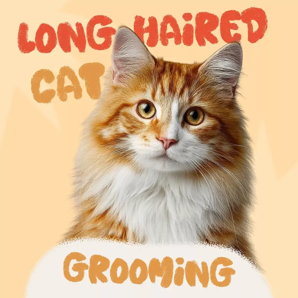 Long-Haired Cat Grooming Checklist | Digital Download for Cat Lovers | Best Way to Groom a Long-Haired Cat | Printable Pet Care Guide for Fluffy Cats