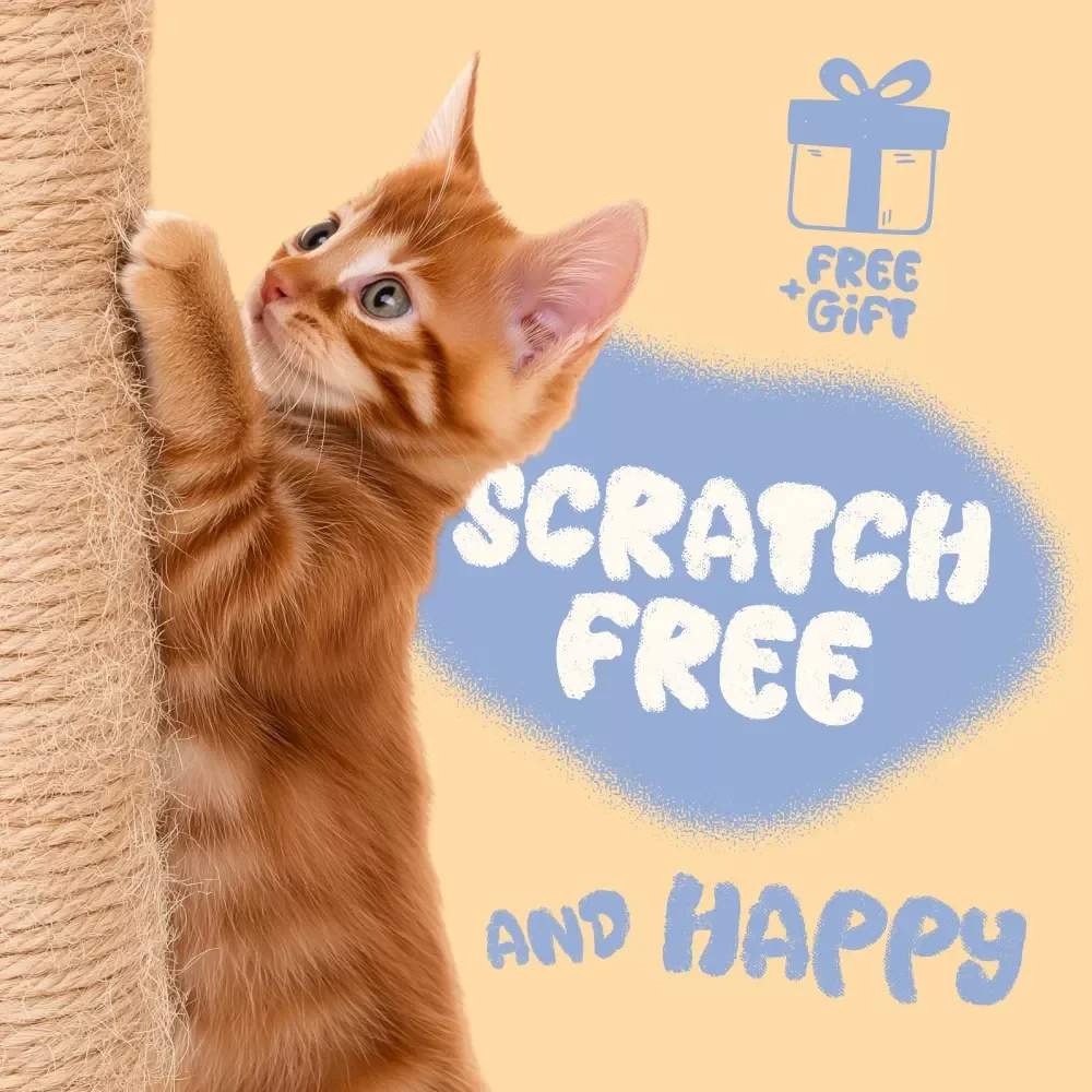 Scratch-Free & Happy: The Ultimate Cat Furniture Rescue Checklist - Cat-Proof Your Home and Keep Your Kitty Happy