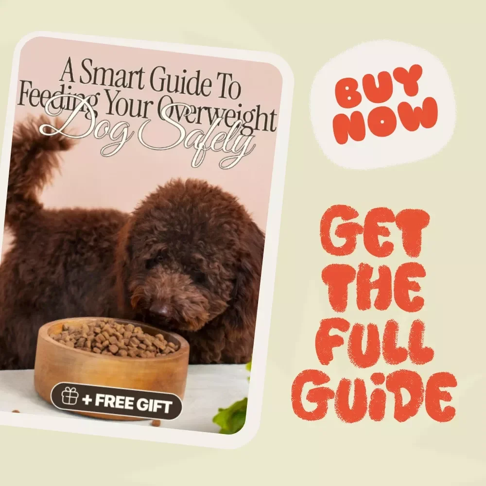 Healthy Bites: A Smart Guide to Feeding Your Overweight Dog Safely | Digital Download for Pet Owners | How to Feed an Overweight Dog Safely, Step-by-Step Nutrition & Care Plan