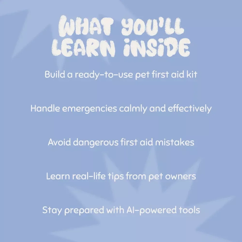Pet First Aid Made Simple | Digital eBook Guide on How to Make a Pet First Aid Kit for Dog & Cat Owners, Emergency Preparedness Checklist for Pet Safety