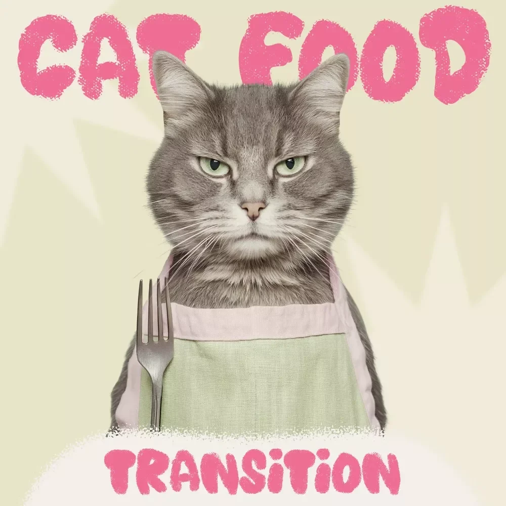 Cat Food Transition Checklist | Printable Pet Feeding Guide | Digital Download | Best Way to Switch a Cat to New Food Without Stress