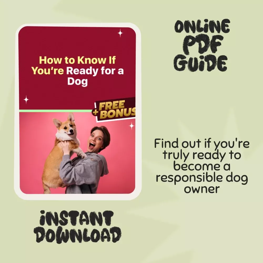 How to Know If You’re Ready for a Dog - A Complete Guide to Responsible Pet Ownership