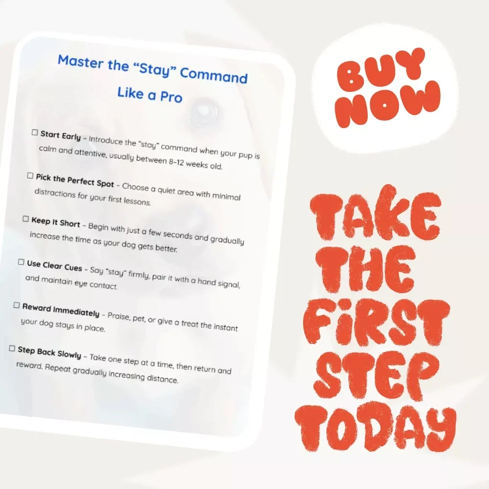 Master the “Stay” Command Like a Pro – Essential Checklist for Training Your Dog