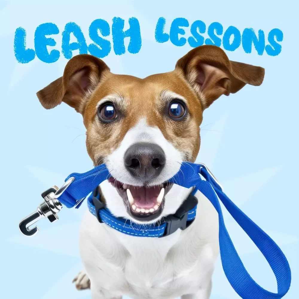 Leash Lessons: Smart Tips to Stop Your Dog from Escaping on Walks | Digital Guide for Pet Owners | Safe Walking & Training Tips for Keeping Dogs from Escaping During Walks