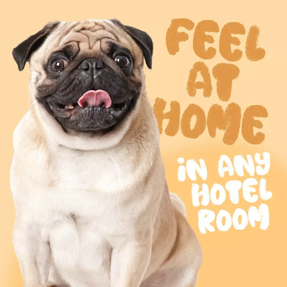 Making Your Dog Feel at Home in Any Hotel Room | Dog Travel eBook, Pet-Friendly Hotel Guide, Dog Owner Travel Tips, Printable Checklist for Stress-Free Trips