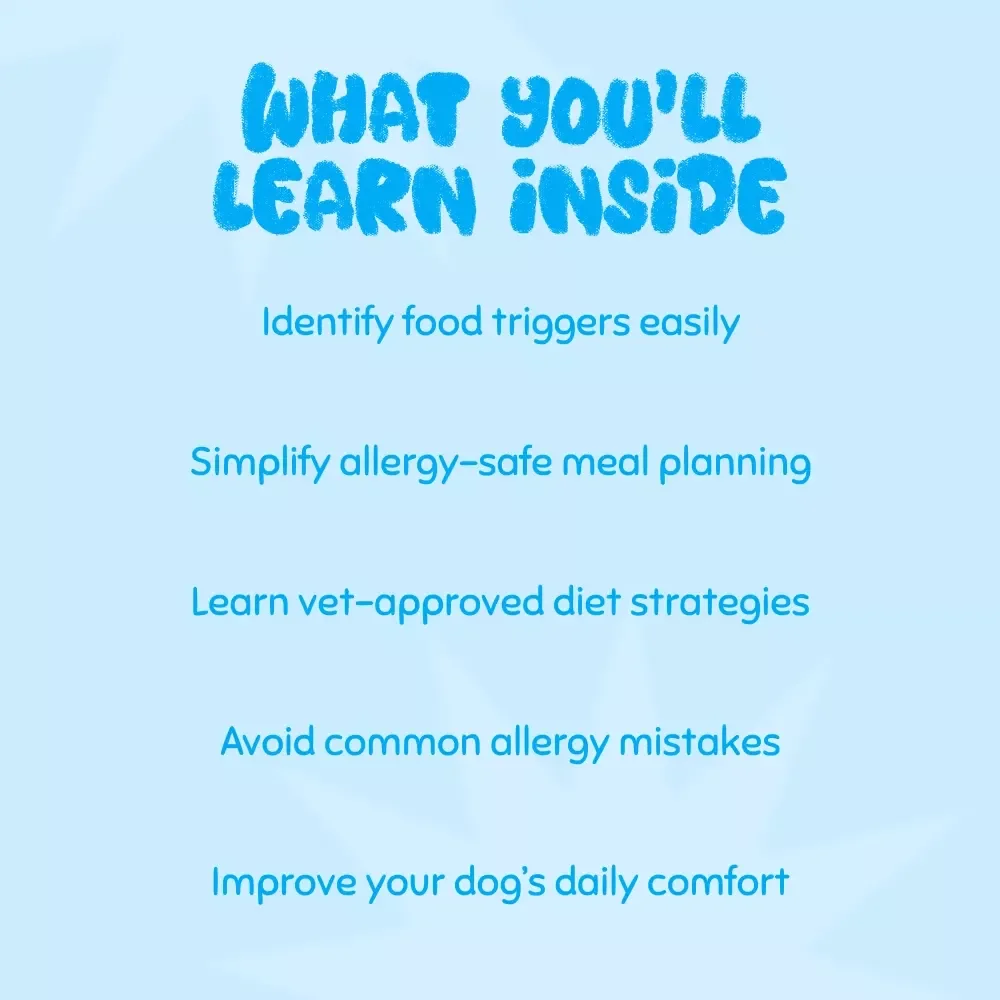Paws & Allergies: A Friendly Guide to Managing Your Dog’s Food Sensitivities | Dog Allergy eBook, Canine Food Allergy Guide, Pet Health Digital Download, Hypoallergenic Dog Diet Tips