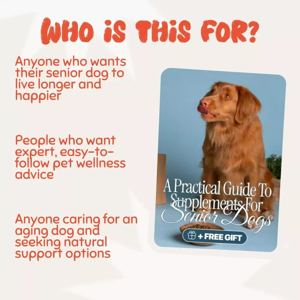 Golden Years, Healthy Paws: A Practical Guide to Supplements for Senior Dogs | Digital eBook for Pet Lovers | Dog Health & Wellness Guide | Senior Dog Care Checklist | Instant PDF Download