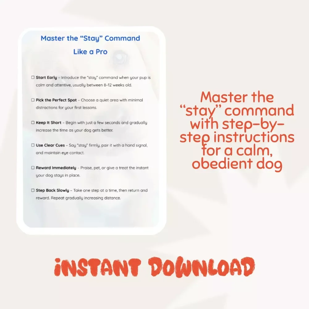 Master the “Stay” Command Like a Pro – Essential Checklist for Training Your Dog