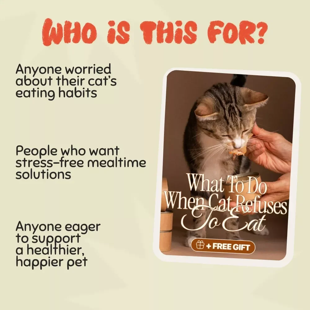 What to Do When Cat Refuses to Eat | Comprehensive Cat Care Ebook for Pet Owners | Digital Download Guide on Feline Feeding Problems and Solutions