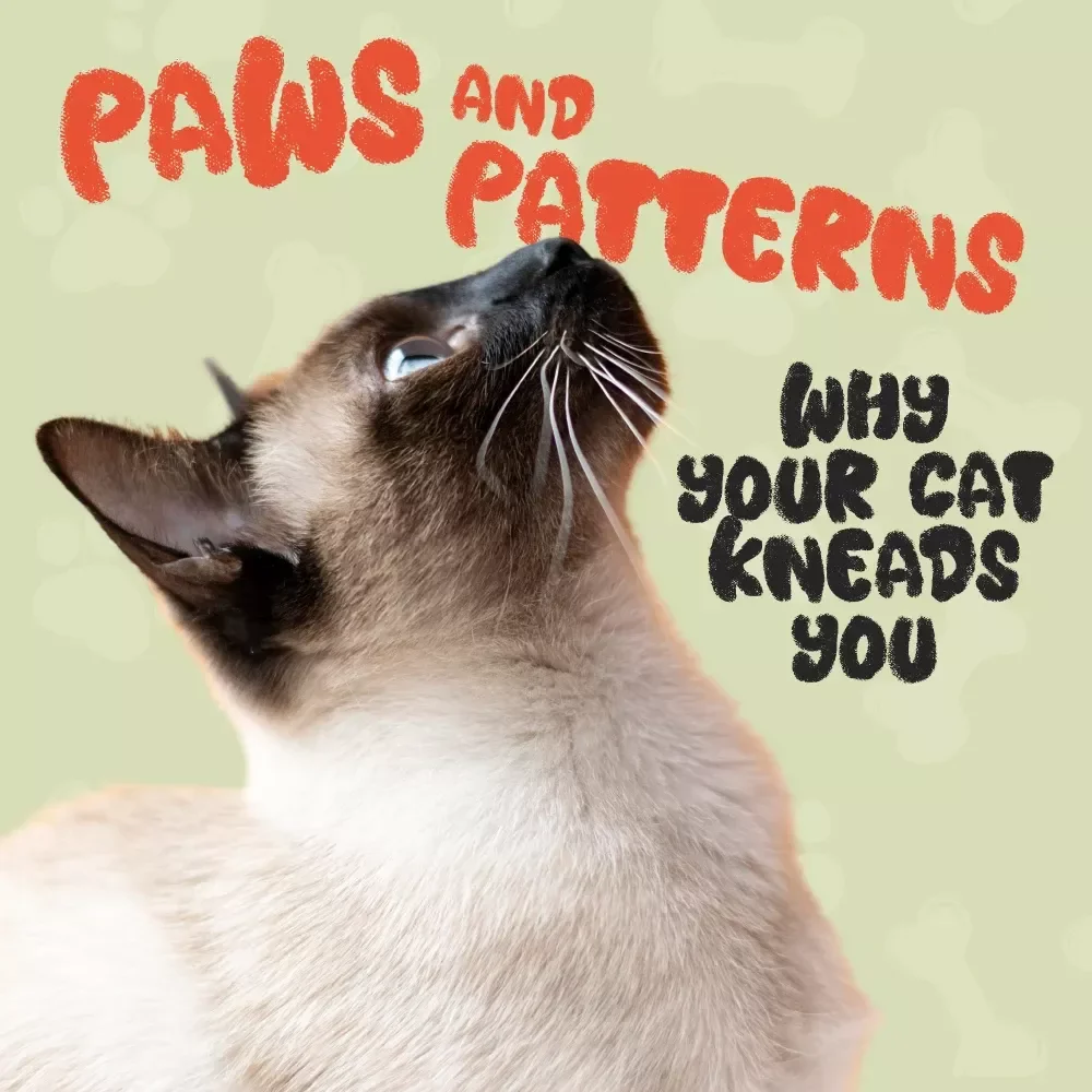 Paws and Patterns: Understanding Why Your Cat Kneads You | Cat Behavior eBook, Feline Psychology Guide, AI Cat Care Manual, Digital Download for Cat Lovers