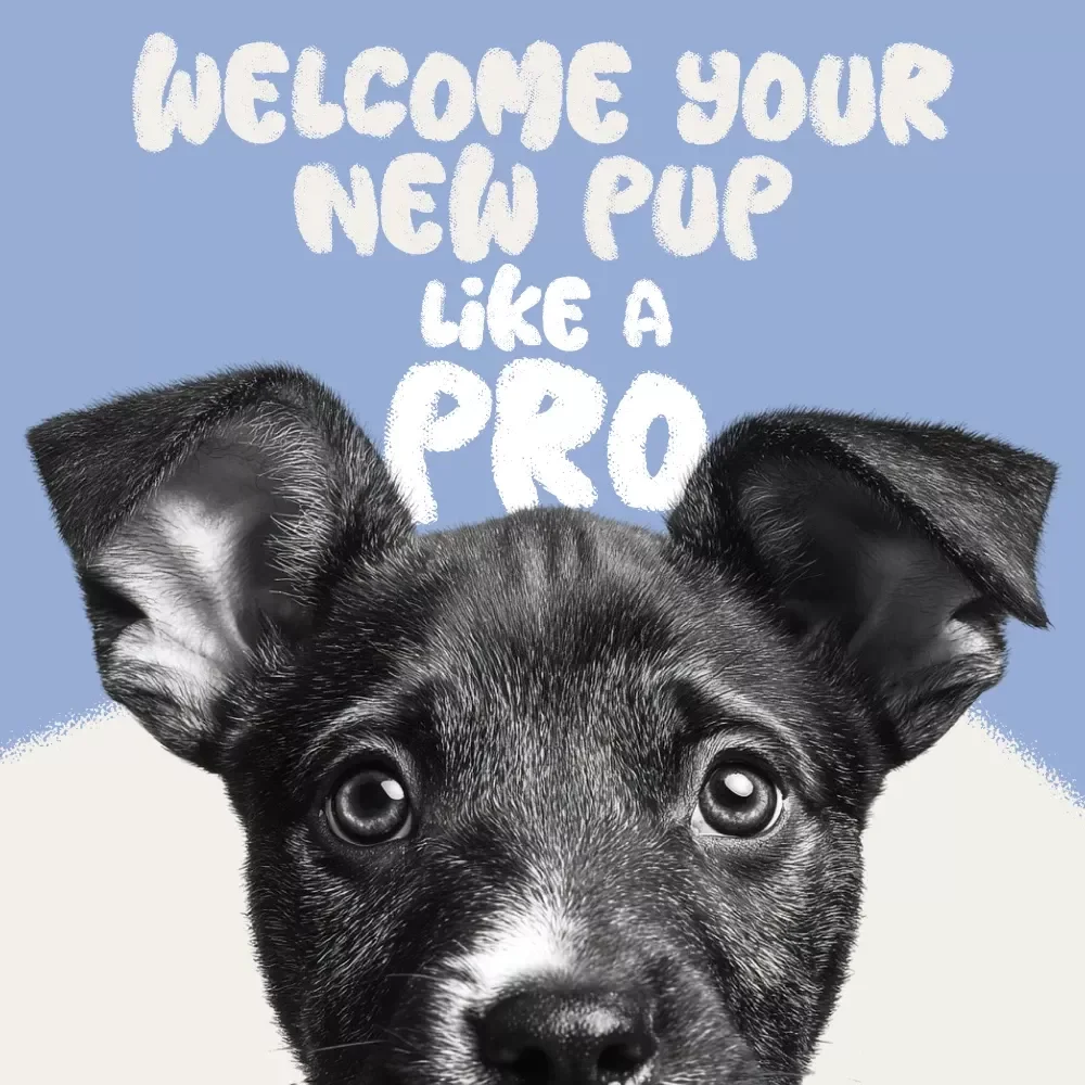 Welcome Your New Pup Like a Pro! Ultimate Guide for Introducing a New Dog to Your Home - Digital Download Checklist