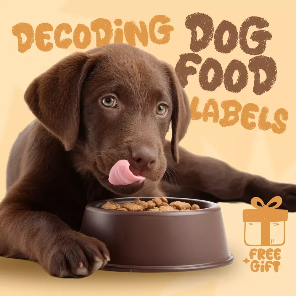 Decoding Dog Food Labels: A Smart Owner’s Guide to Choosing the Best Nutrition | How to Read Dog Food Labels Correctly | Digital Download Pet Nutrition Guide for Dog Owners