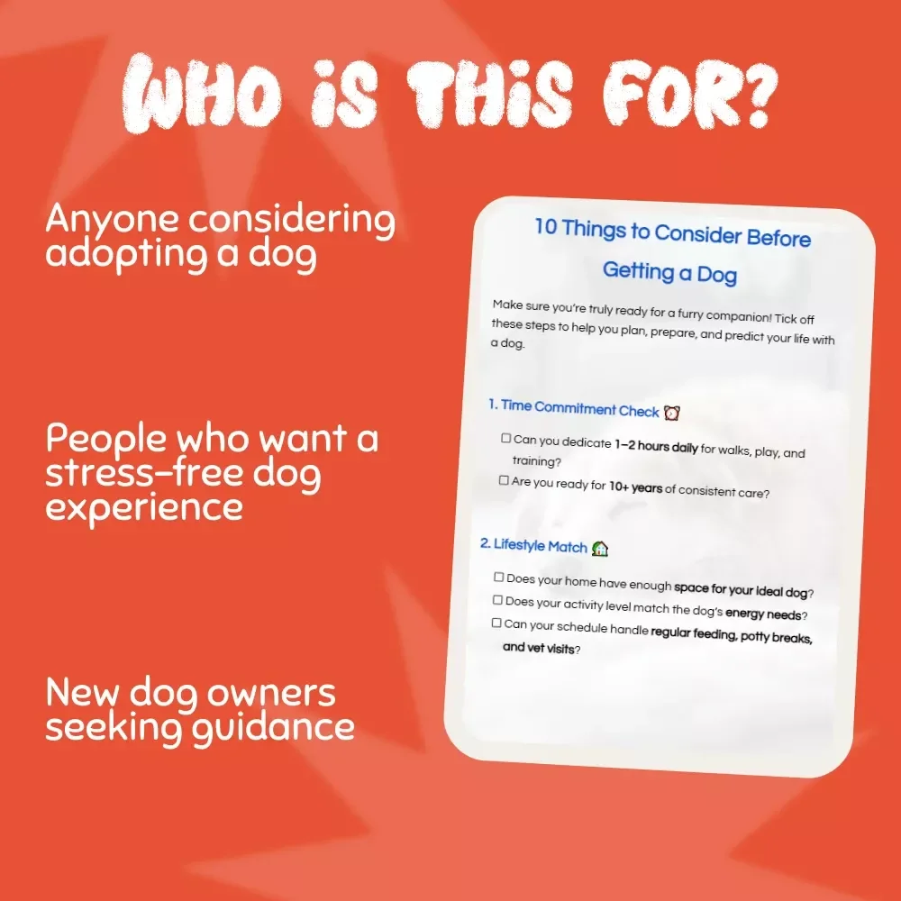 10 Things to Consider Before Getting a Dog - A Must-Have Checklist for Dog Parents