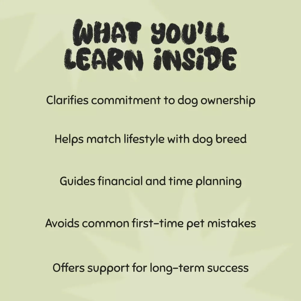 How to Know If You’re Ready for a Dog - A Complete Guide to Responsible Pet Ownership