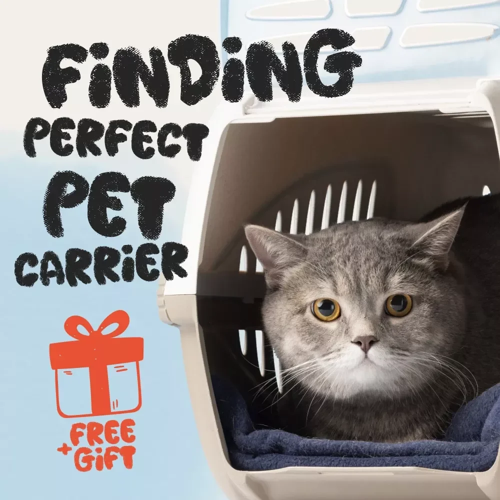 Finding the Perfect Pet Carrier for Your Furry Friend | Ultimate Pet Travel Guide | Digital Download for Cat & Dog Owners | Comfort, Safety, and Style Checklist & eBook