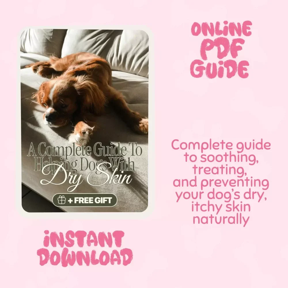 Soothing the Scratch: A Complete Guide to Helping Dogs with Dry Skin | Digital Pet Care Guide for Dog Owners | What to Do When Your Dog Has Dry Skin | Dog Health & Wellness eBook