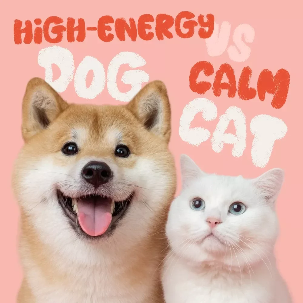 High-Energy Dog vs. Calm Cat | Printable Pet Decision Checklist | How to Decide Between a High-Energy Dog or a Calm Cat | Lifestyle Pet Compatibility Guide