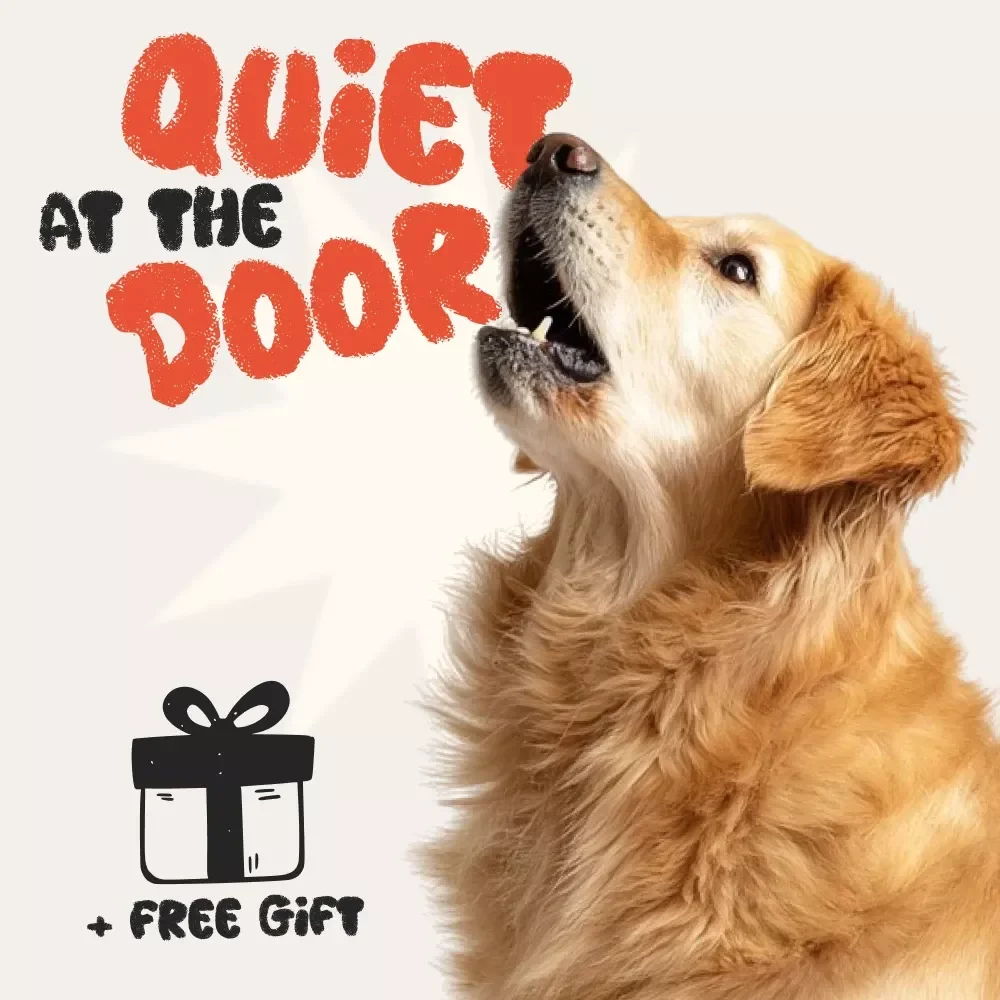 Quiet at the Door: The Ultimate Guide to Stopping Barking at Strangers at the Door