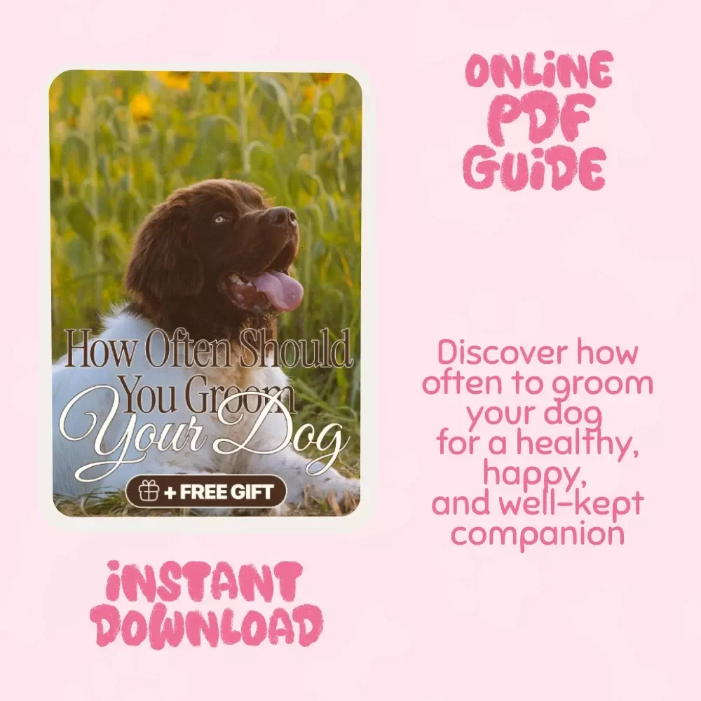 Paws and Polish: How Often Should You Groom Your Dog | Digital Guide for Pet Owners | Dog Grooming Schedule & Care Tips