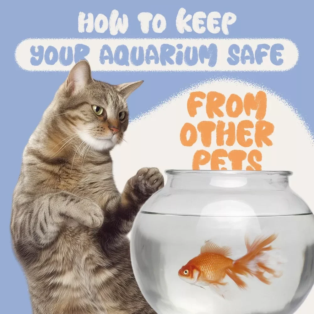 Checklist: How to Keep Your Aquarium Safe from Other Pets | Printable Digital Download | Pet-Safe Aquarium Care Guide for Fish Owners | How to Keep Aquariums Safe from Other Pets