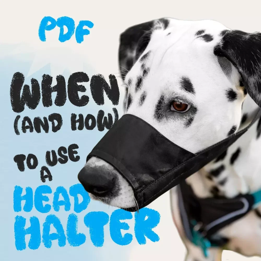 The Checklist for When (and How) to Use a Head Halter | Printable Dog Training Guide | Digital Download for Pet Owners | when should you use a head halter