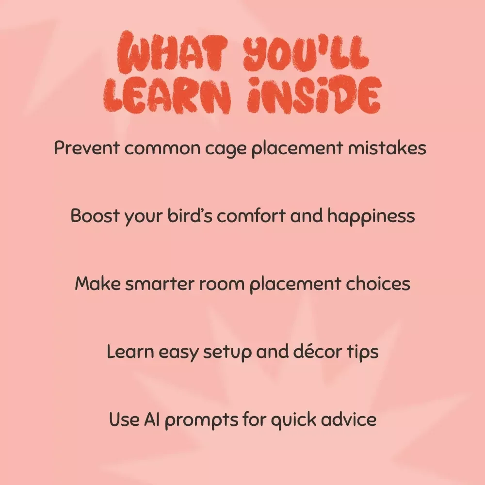 Finding the Ideal Spot for Your Bird Cage | Where Should You Place a Bird Cage | Complete Bird Cage Placement eBook Guide for Every Home