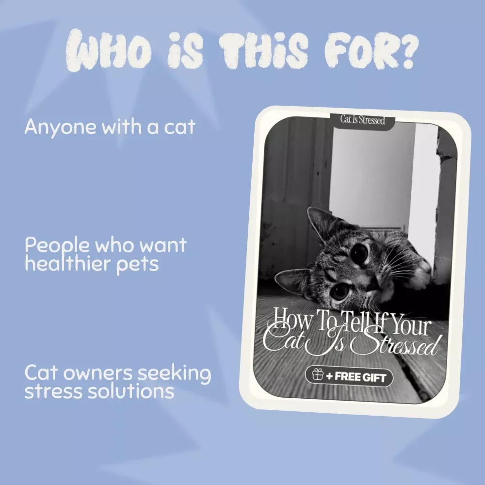 How to Tell if Your Cat is Stressed: The Ultimate Guide to Understanding and Reducing Cat Stress