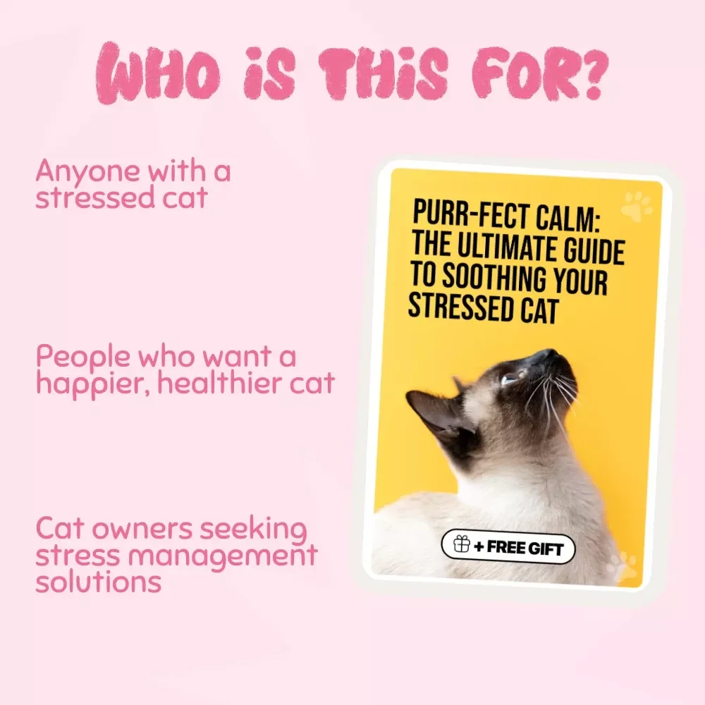 Purr-fect Calm: The Ultimate Guide to Soothing Your Stressed Cat – How to Calm a Stressed Cat
