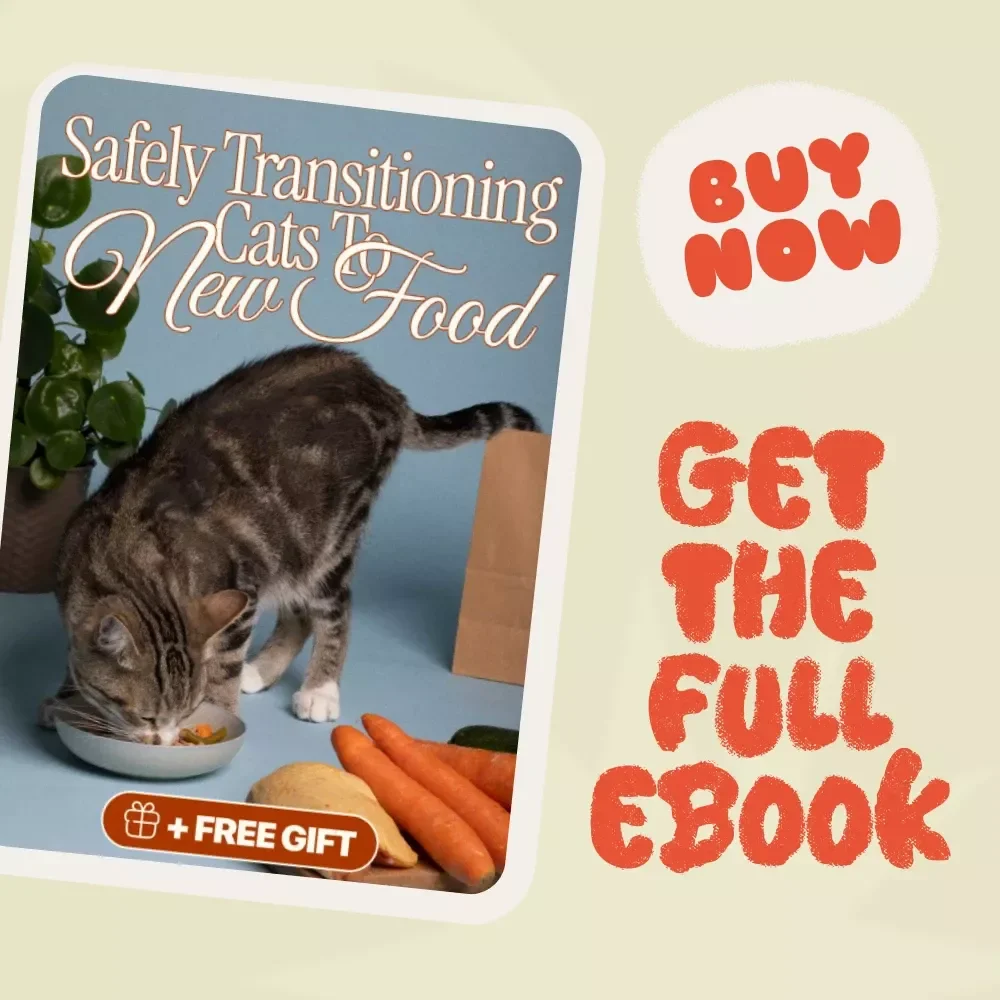 Safely Transitioning Cats to New Food | How to Transition Cats to New Food Safely | Comprehensive Cat Nutrition Ebook & Step-by-Step Guide