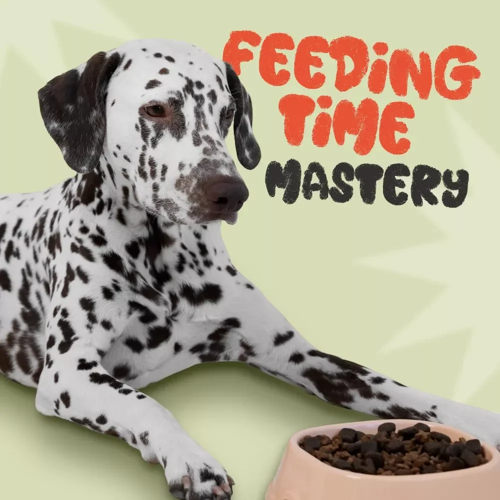 Feeding Time Mastery: The Smart Guide to a Stress-Free Schedule | Digital Feeding Schedule eBook, Pet Feeding Planner, Routine Tracker, AI Tools for Feeding, Printable Guide Download
