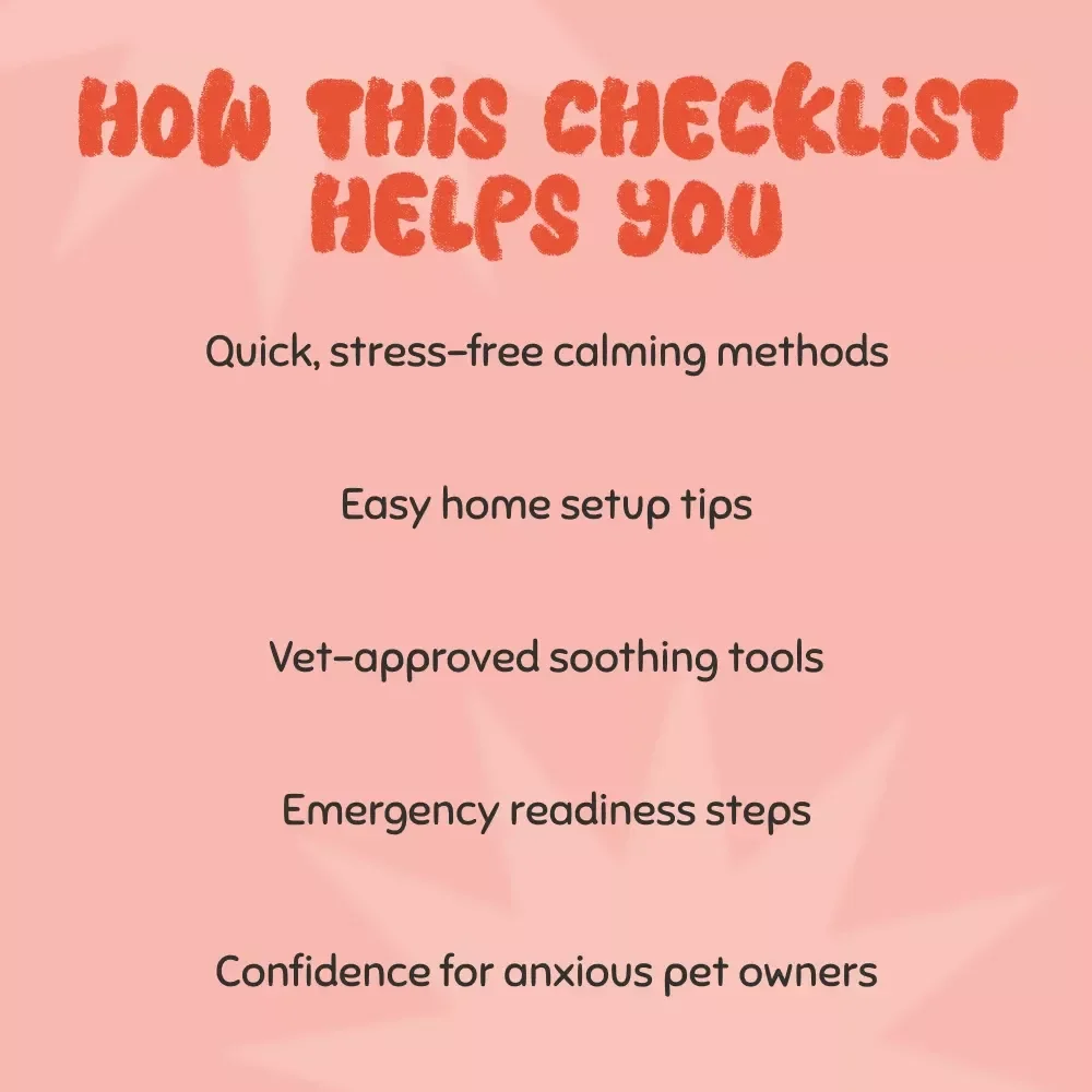 Thunderstorm Anxiety in Pets: Quick-Action Checklist | Instant Download Guide for Calming Dogs & Cats | What to Do When Pets Are Anxious During Thunderstorms | Printable Pet Care Aid for Storm Stress Relief