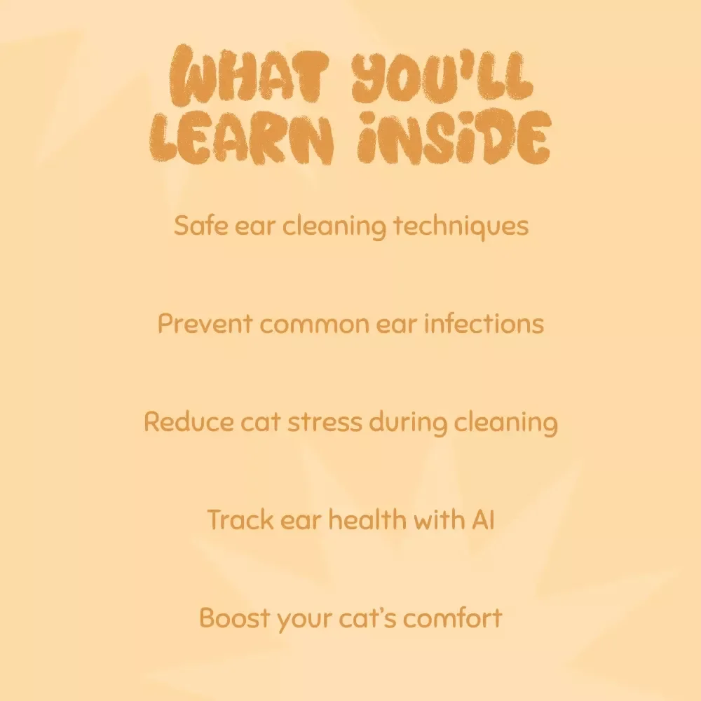 Purrfectly Clean Ears: A Gentle Guide to Keeping Your Cat’s Ears Healthy - How to Clean Cat Ears Safely