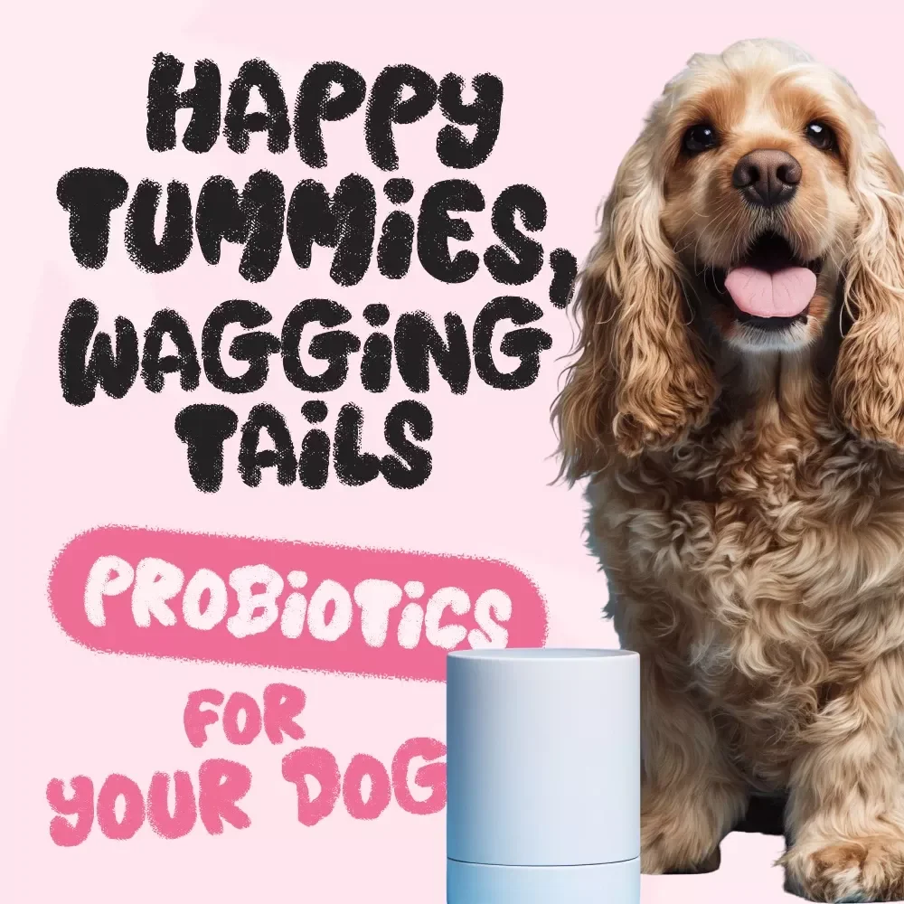 Happy Tummies, Wagging Tails: The Smart Guide to Using Probiotics for Your Dog | Dog Health eBook | Canine Digestive Wellness | Pet Probiotic Care | Digital Download