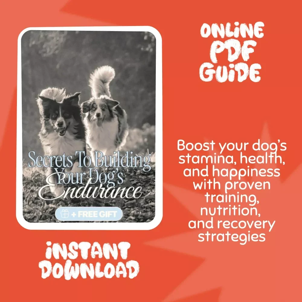Secrets to Building Your Dog’s Endurance | Digital Guide for Pet Owners | Proven Tips for Increasing a Dog’s Endurance and Energy Naturally