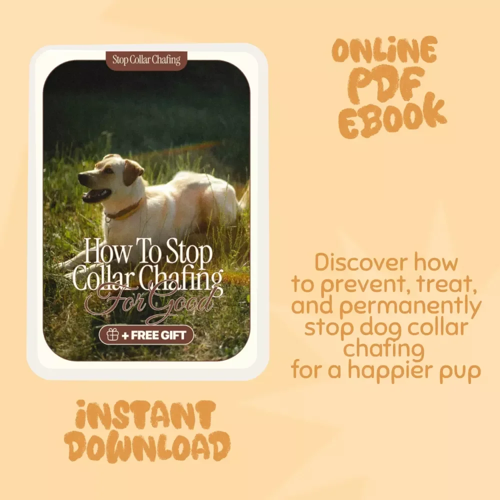 How to Stop Dog Collar Chafing for Good – Dog Owner’s Ultimate Guide | Prevent & Treat Chafing | eBook on what to do when a collar causes chafing | Perfect Fit, Healing Tips & No-Tug Training Plan