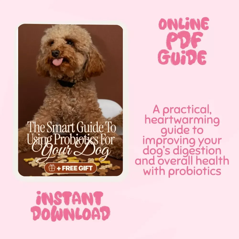 Happy Tummies, Wagging Tails: The Smart Guide to Using Probiotics for Your Dog | Dog Health eBook | Canine Digestive Wellness | Pet Probiotic Care | Digital Download