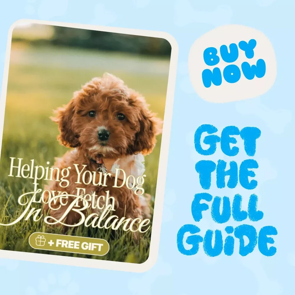 Helping Your Dog Love Fetch in Balance | Digital Guide for Understanding and Managing Obsessive Fetch Behavior | What to Do When Fetch Becomes Obsessive | Dog Training eBook